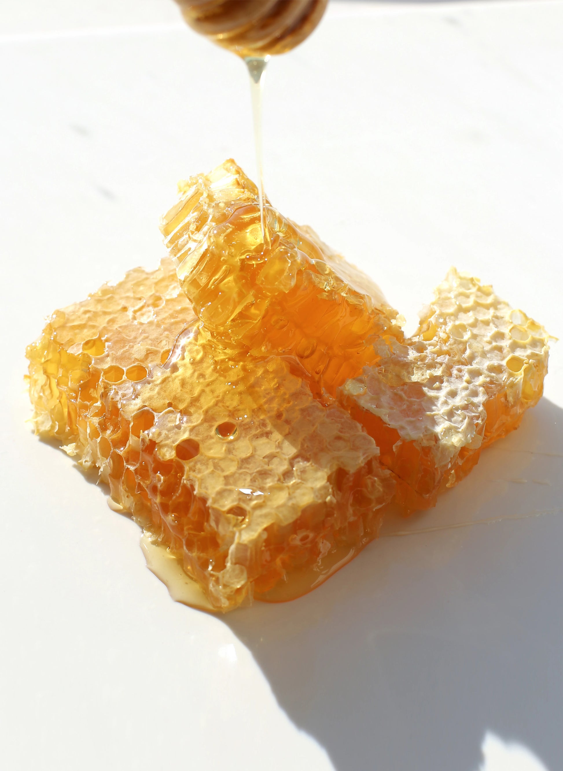 honey comb Hong Kong. Honey comb best with cheese.