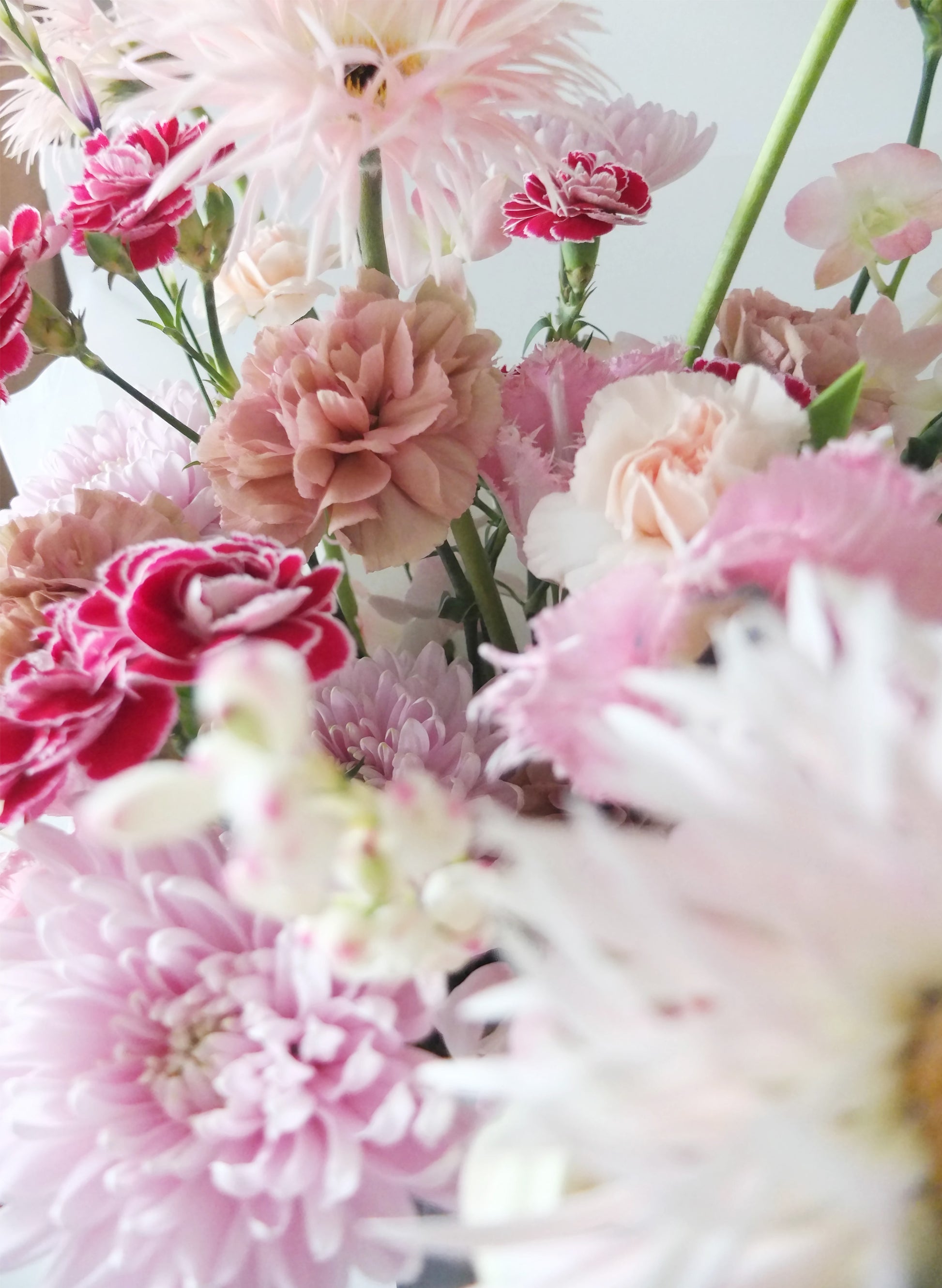 粉紅色荷蘭太陽菊、蝦肉色康乃馨、紅色小康乃馨、淡粉色菊花組合而成的母親節花束。