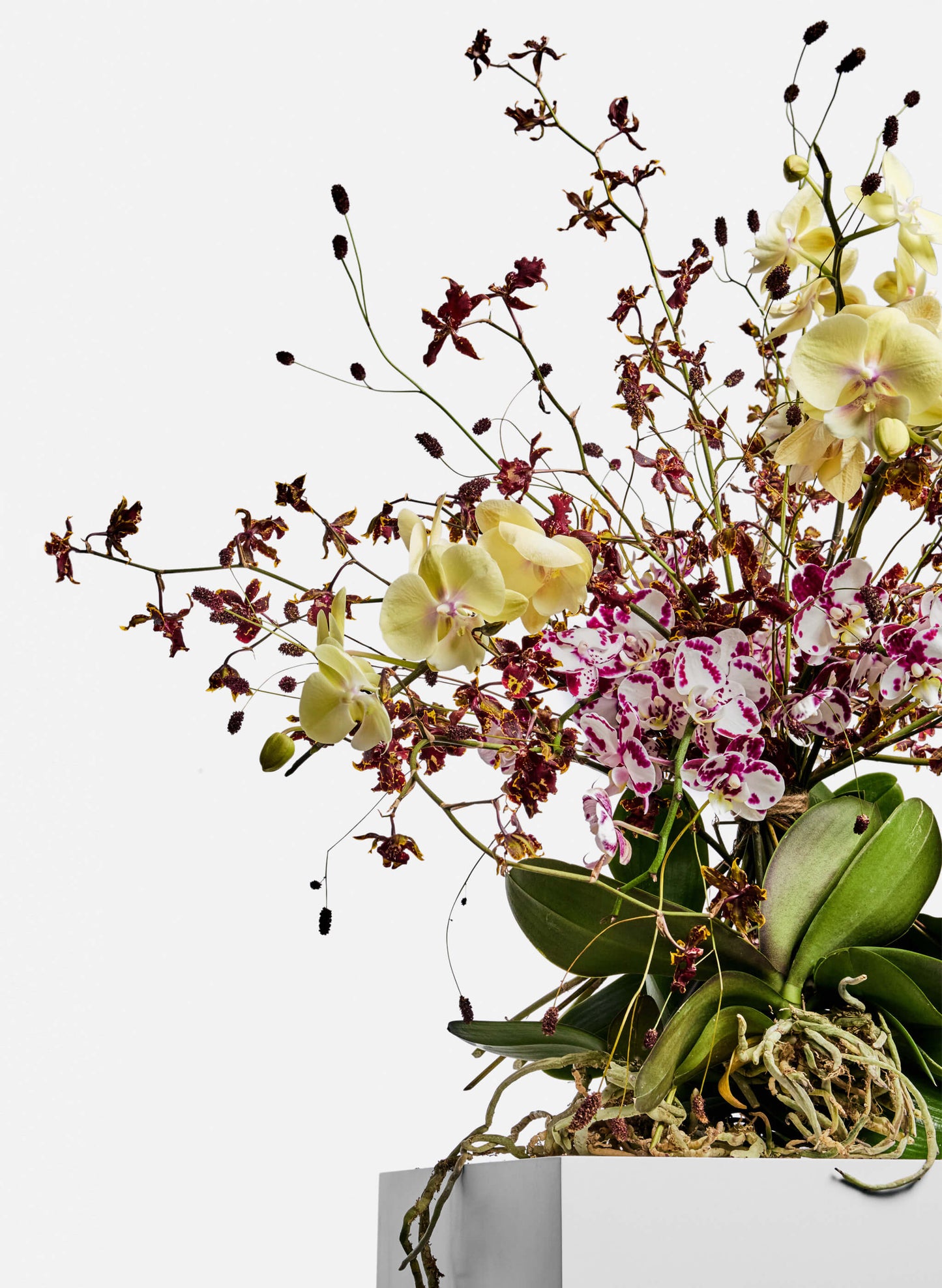 Bespoke flower arrangement. A unique orchids flower table arrangement. 