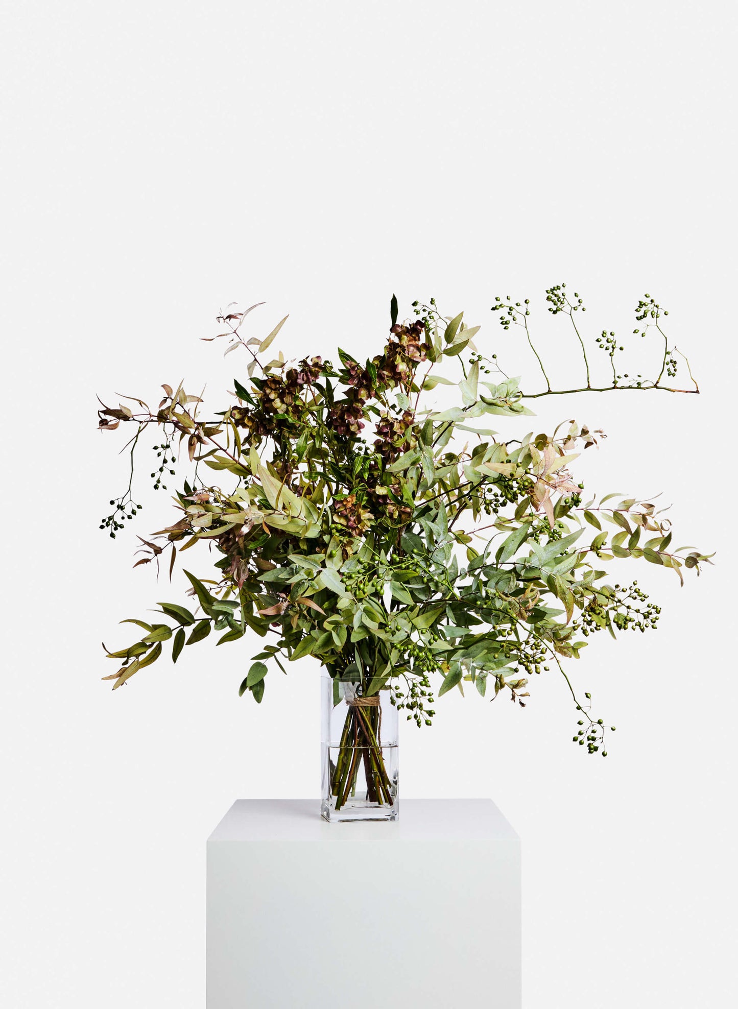 A bundle of fresh, daily pick green foliage. Fresh and aromatic, it provides a clean and invigorating scent, lending a calming and refreshing touch to any arrangement or space.